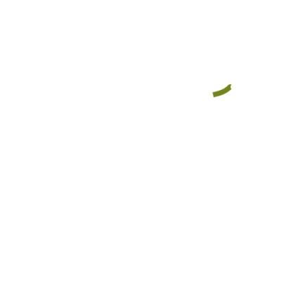 filler-free-animation