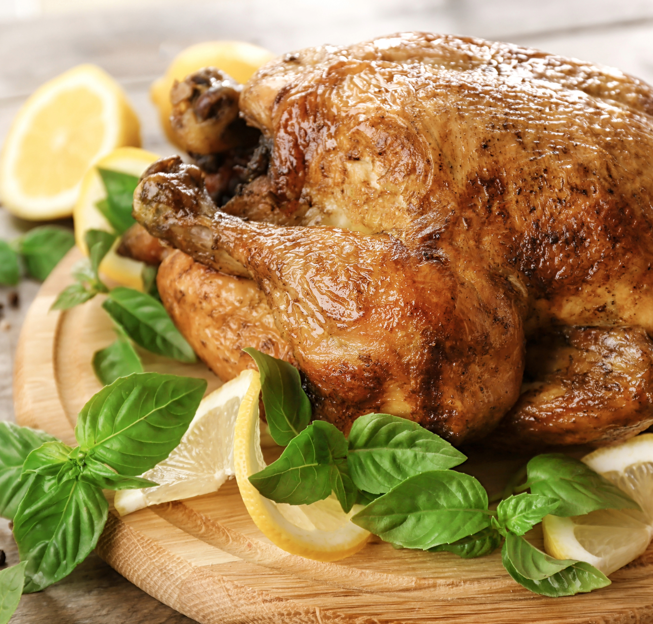 Hummus Roasted Turkey